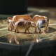 Circle of Elephants Gold & Silver Ring