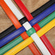 Papillon d’Or Belt