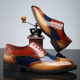Herren Wingtip Brogue Schnürschuhe - Noel